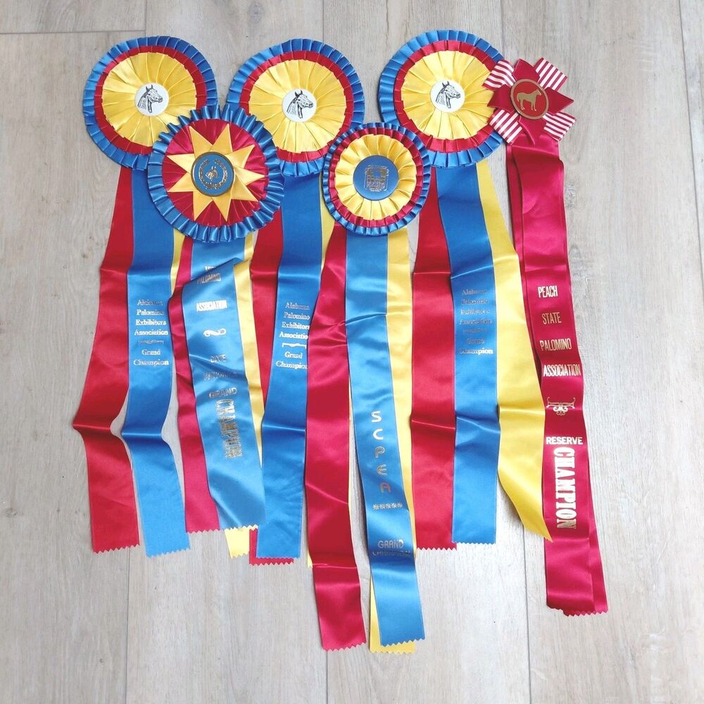 Lot Of 6 Horse Show Award Ribbons Rosettes Championship Sash Cecor Craft